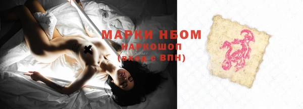 шишки Алзамай