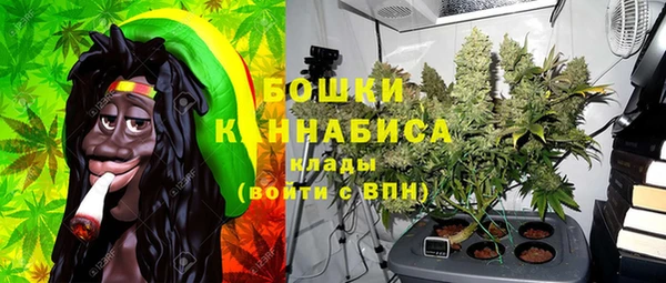 ГАЛЛЮЦИНОГЕННЫЕ ГРИБЫ Алексин
