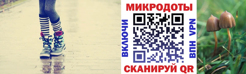 Галлюциногенные грибы GOLDEN TEACHER Черкесск