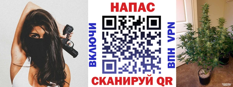 Конопля сатива  гидра ССЫЛКА  Черкесск 